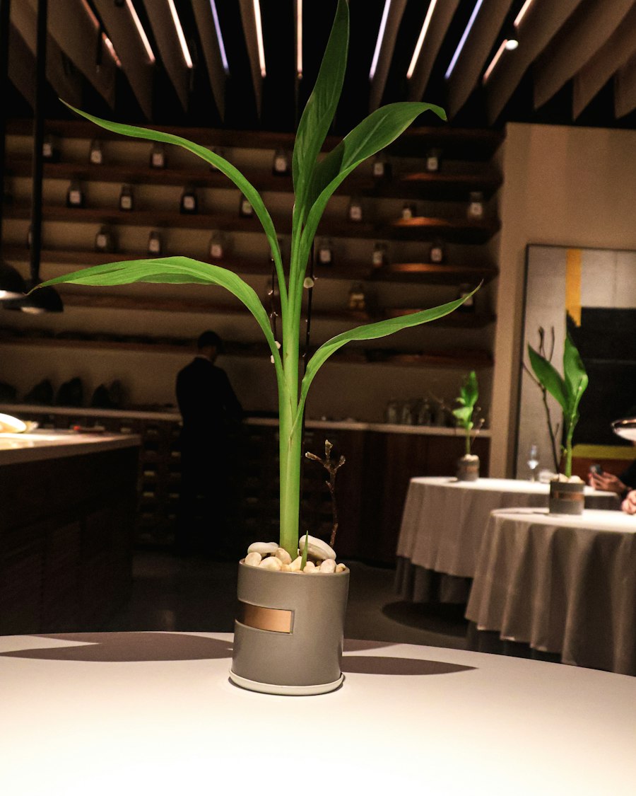 Eleven Madison Park