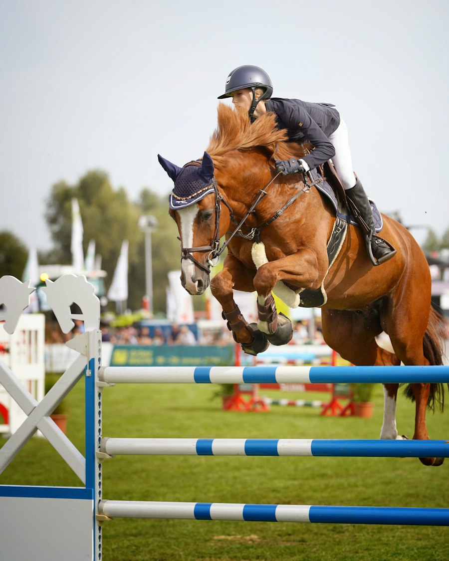 Spruce Meadows