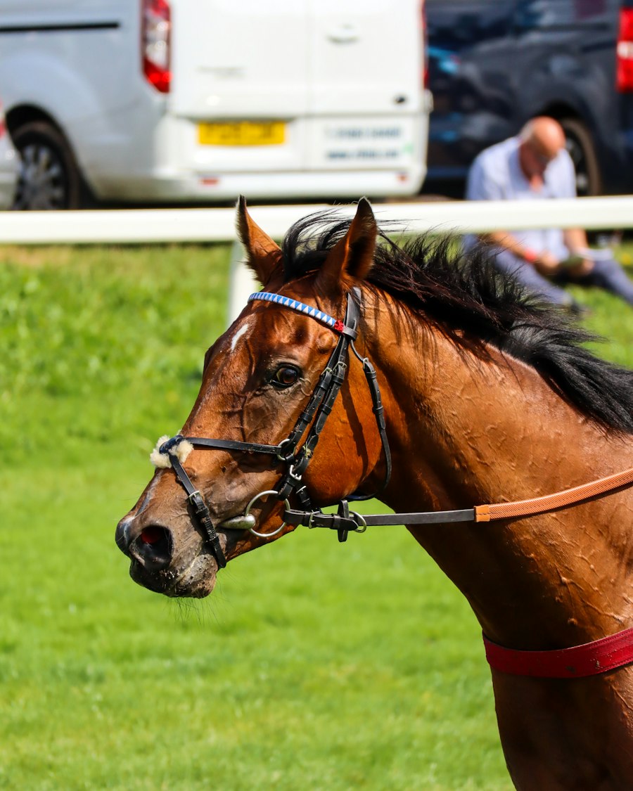 Guards Polo Club